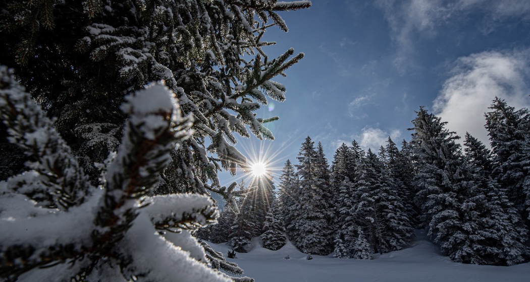 2 Bargis - Fidaz - Flims (oua_43313066_image)