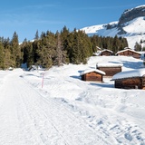 108: Foppa - Runcahöhe (oua_43313421_image)