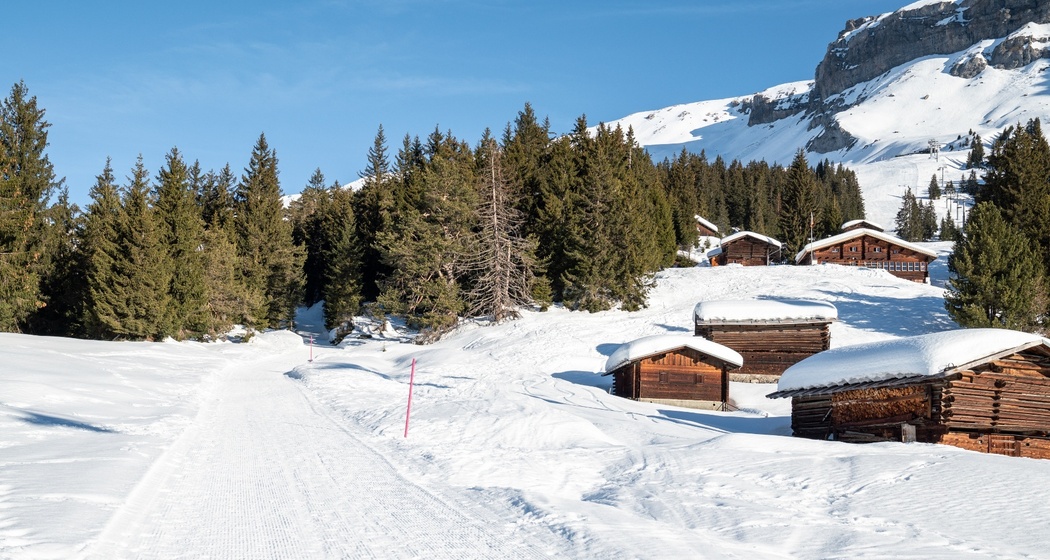 108: Foppa - Runcahöhe (oua_43313421_image)