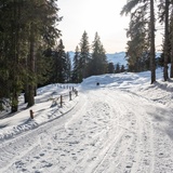 101: Curnius - Crap Sogn Gion (oua_43313643_image)