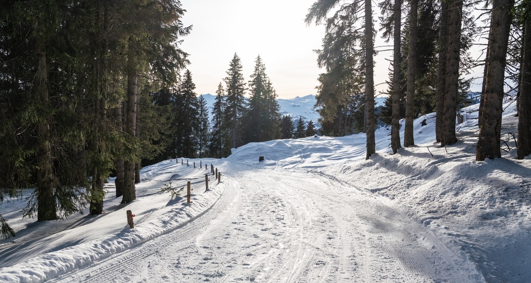 101: Curnius - Crap Sogn Gion (oua_43313643_image)