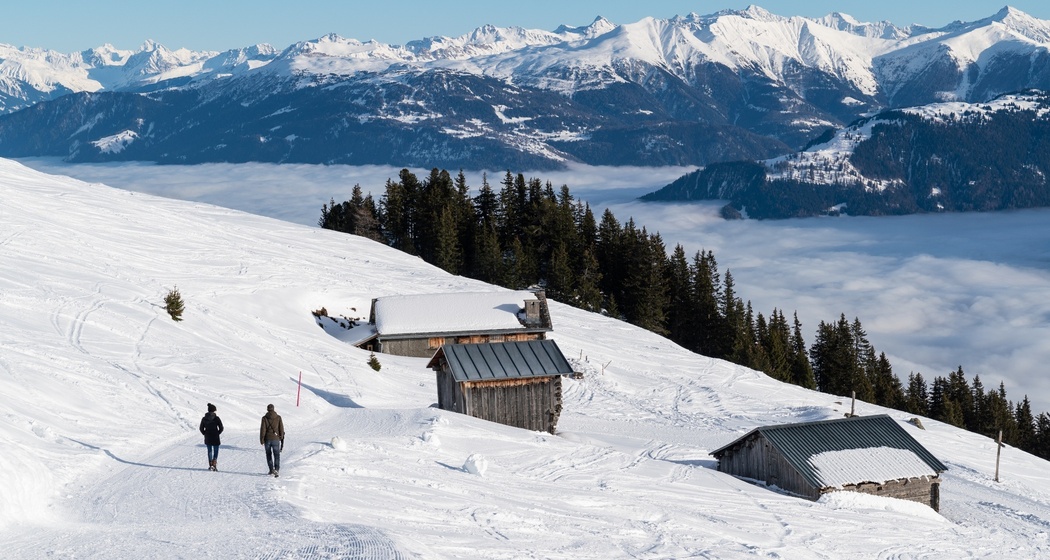 101: Curnius - Crap Sogn Gion (oua_43313677_image)