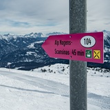 104: Nagens - Alp Nagens - Scansinas (oua_43334702_image)