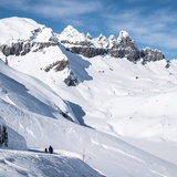 105: Nagens Sura - Nagens (oua_43335485_image)