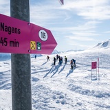 105: Nagens Sura - Nagens (oua_43335487_image)