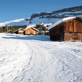 Foppa - Startgels (oua_43335660_image)