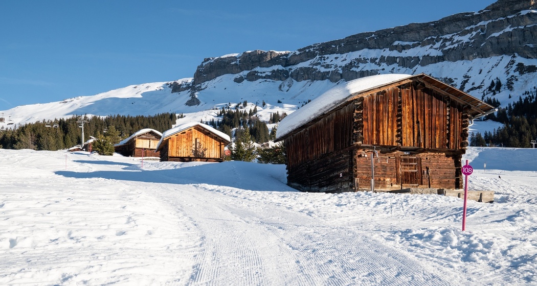 Foppa - Startgels (oua_43335660_image)