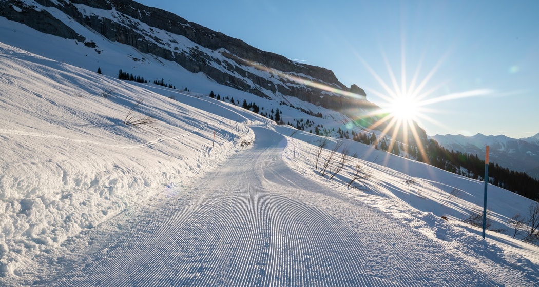 Foppa - Startgels (oua_43335691_image)