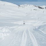 110: Scansinas - Alp Sogn Martin (oua_43335986_image)