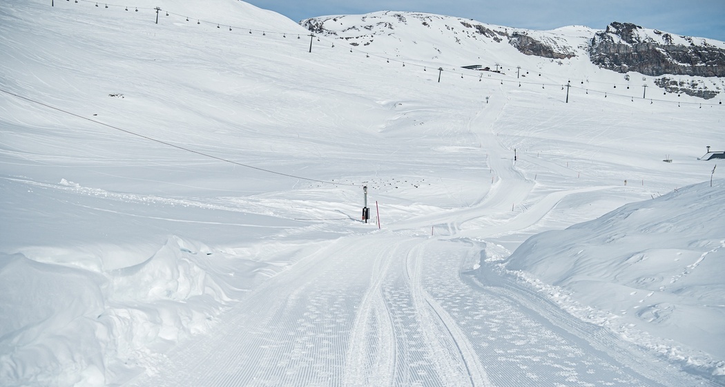 110: Scansinas - Alp Sogn Martin (oua_43335986_image)