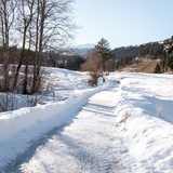 25 Trin Mulin - Conn (oua_43360647_image)