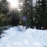 Trin - Trin Mulin (oua_43382066_image)