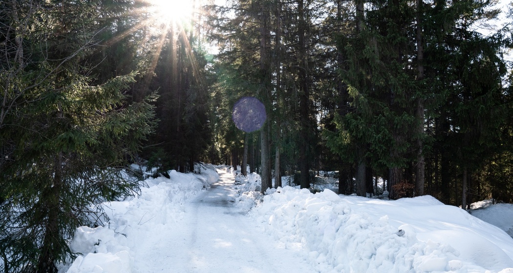 Trin - Trin Mulin (oua_43382066_image)