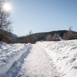 Trin - Trin Mulin (oua_43382070_image)