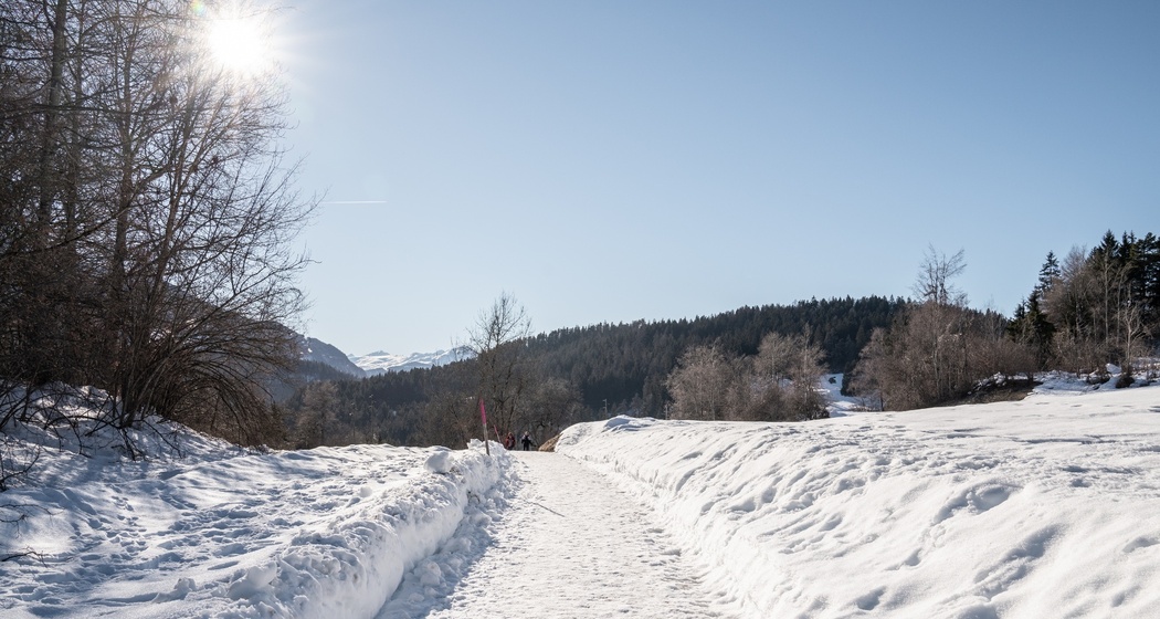 Trin - Trin Mulin (oua_43382070_image)