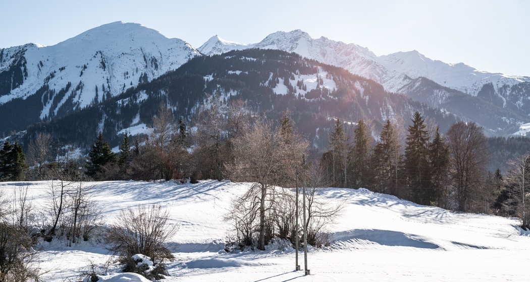 Trin - Trin Mulin (oua_43382071_image)