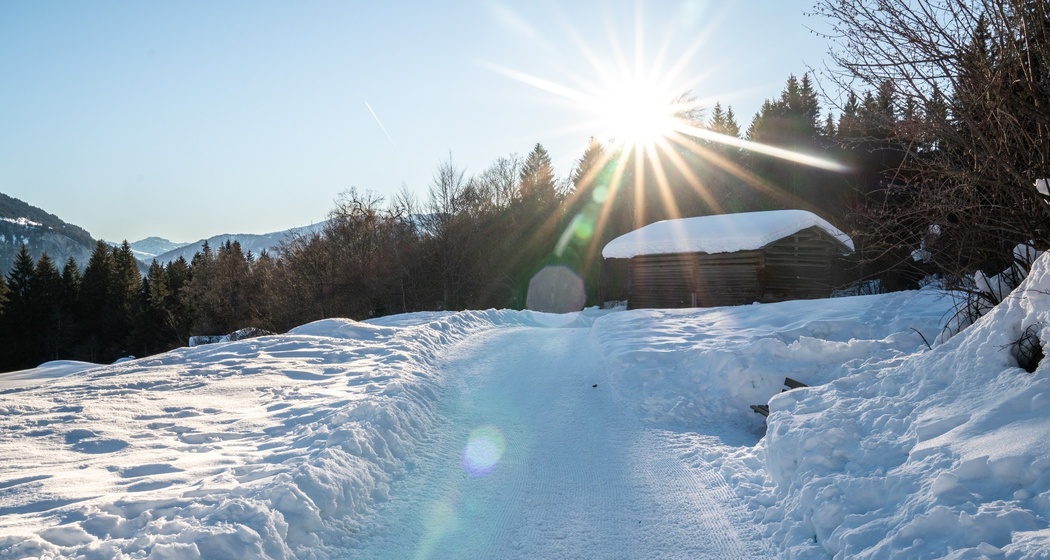 274: Rundweg Flimserwald (oua_43383024_image)