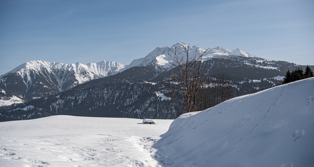 Laax Dorf - Falera (oua_43384037_image)