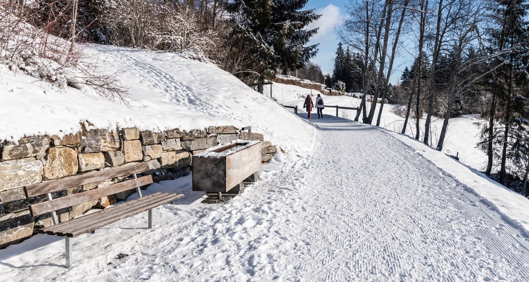 Flims Waldhaus - Sportzentrum - Staderas - Talstation Laax (oua_43397526_image)