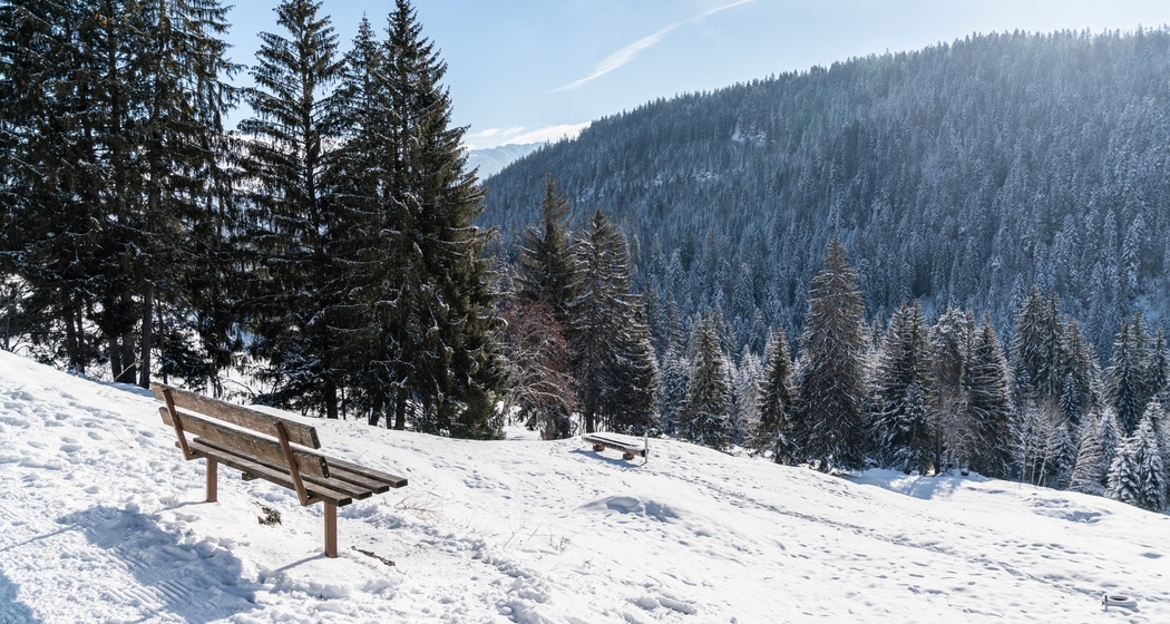 Flims Waldhaus - Sportzentrum - Staderas - Talstation Laax (oua_43397528_image)