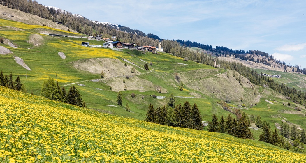 Mathon im Frühling