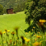 Sul percorso tra l'Alpenrösli e il Schlappintobel
