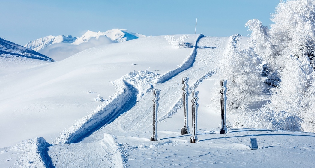 Winterwanderweg in Feldis