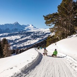 Toboggan run Mutta - North slope - Feldis