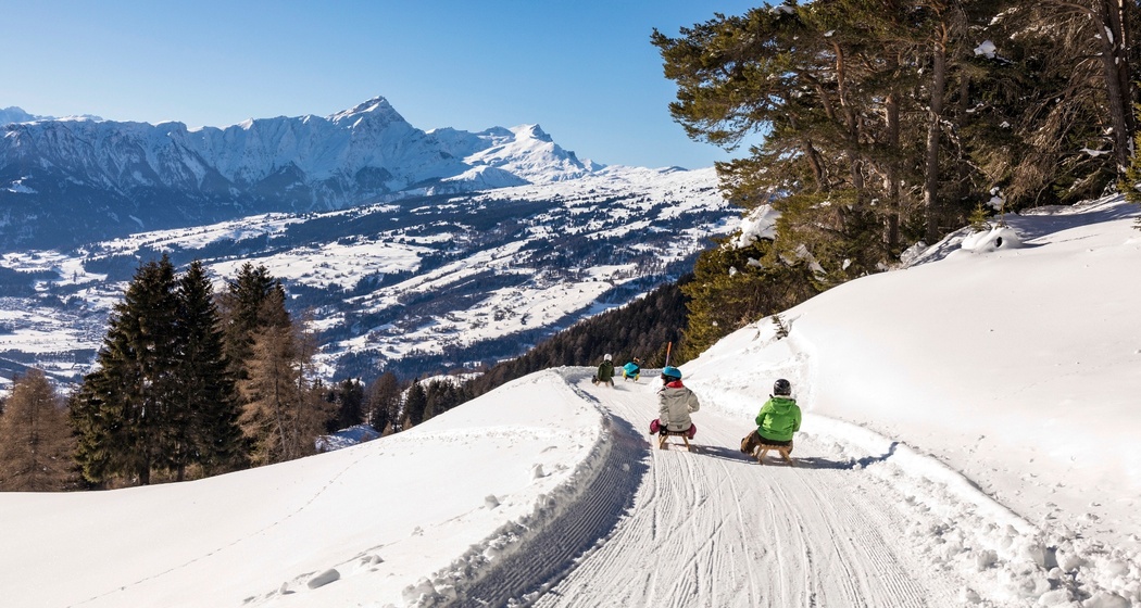 Schlittelweg Mutta - Nordhang - Feldis