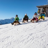 chemin de luge Mutta - versant sud - Feldis