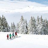 Winterwandern Lenzerheide