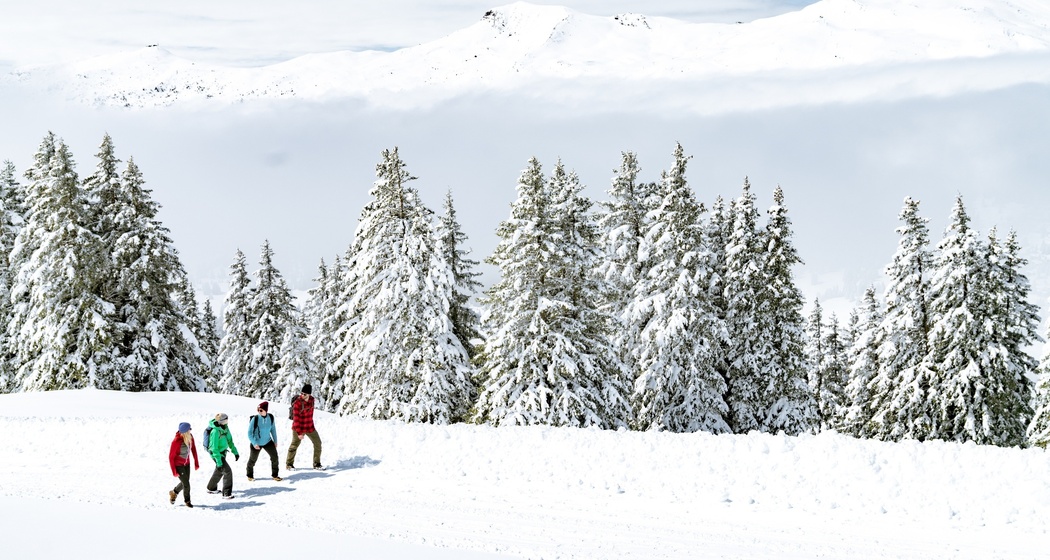 Winterwandern Lenzerheide