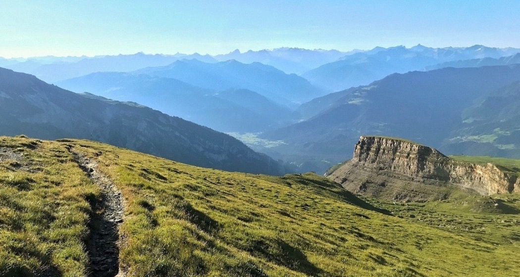 Viva La Cassons (oua_43664936_image)