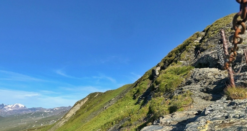 Viva La Cassons (oua_43664937_image)