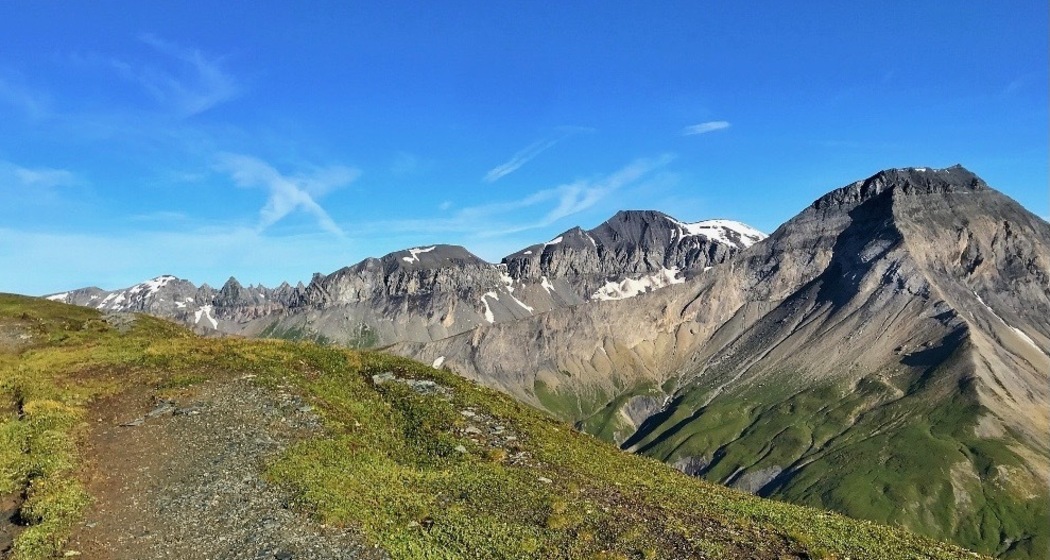 Viva La Cassons (oua_43664938_image)