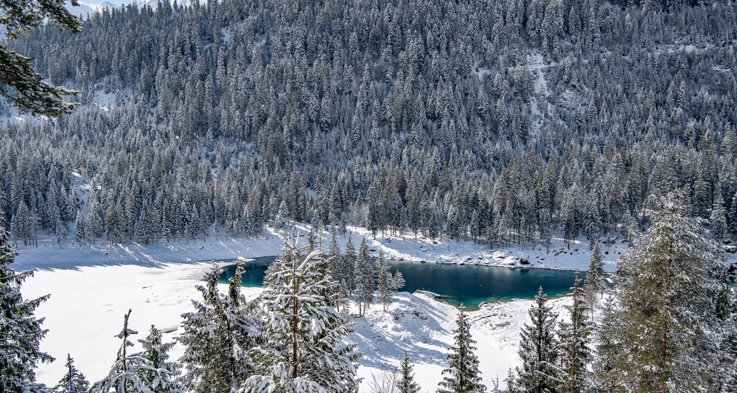 16 Staderas - Sportzentrum - Caumasee - Conn (oua_43777297_image)