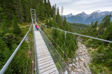 Suspension bridge Aclas d'Alvagni (oua_43778657_image)