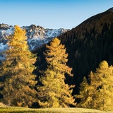 On the trail of Walserarchitecture in Davos (oua_43840150_image)