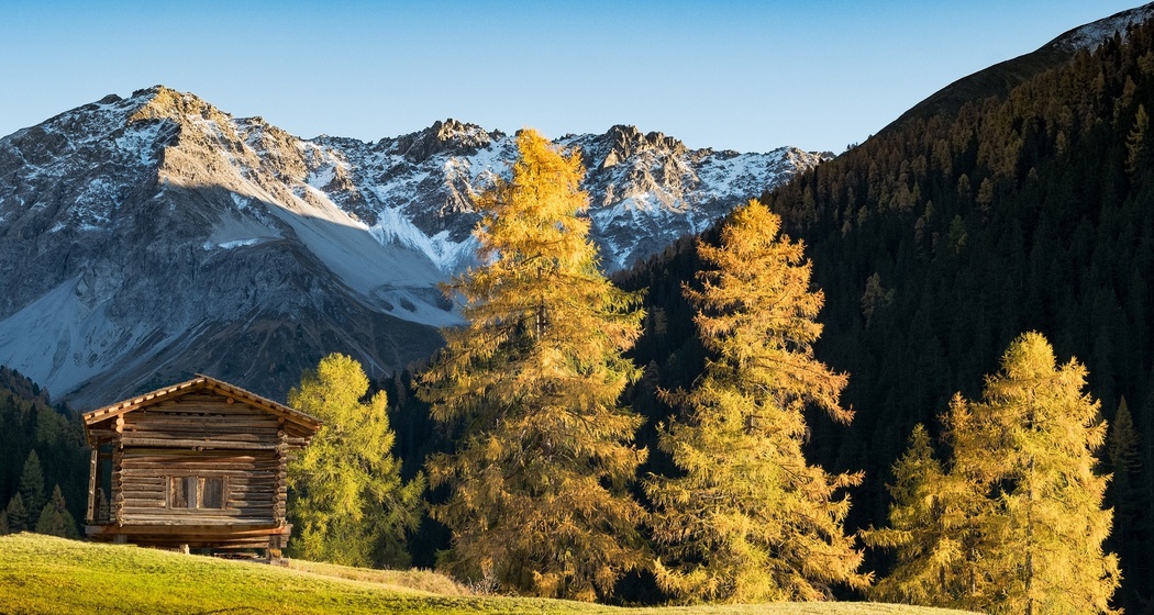 Fanezfurgga (oua_43840150_image)