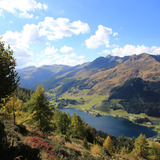 Pischa Drusatscha (oua_43840209_image)