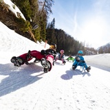 805 sled run Preda-Bergün (oua_43860082_image)