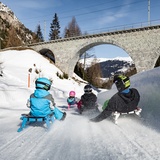805 sled run Preda-Bergün (oua_43860083_image)