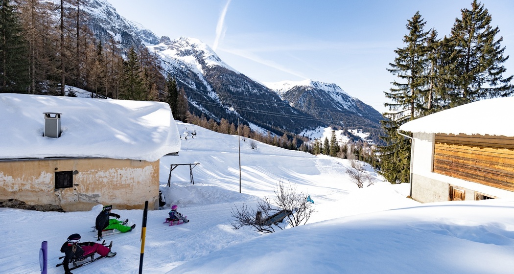 806 Schlittelbahn Darlux-Bergün (oua_43860093_image)