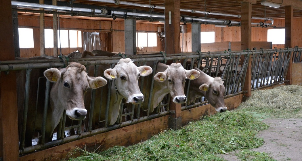 Hof Christen Vazerol