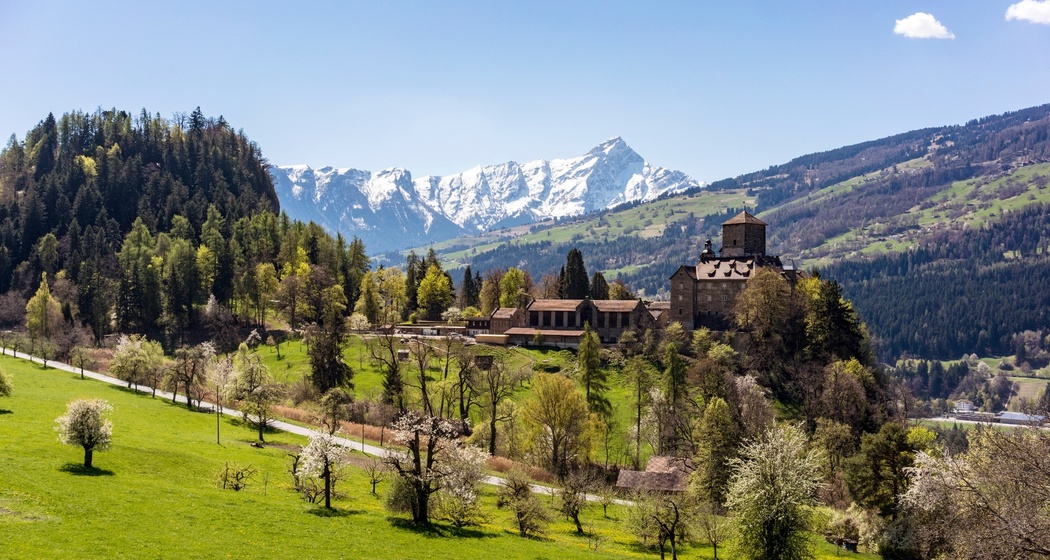 Schloss Ortenstein Sommer