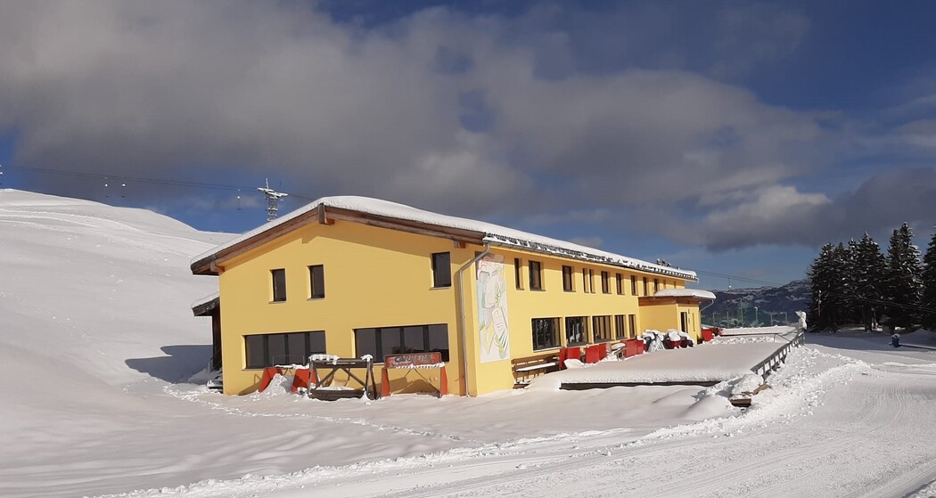 Dultschinas im Winter