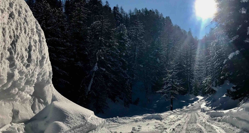 Weg durch den Winterwald am Cavloc-See
