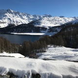 Blick über den Silsersee