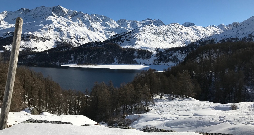 Blick über den Silsersee