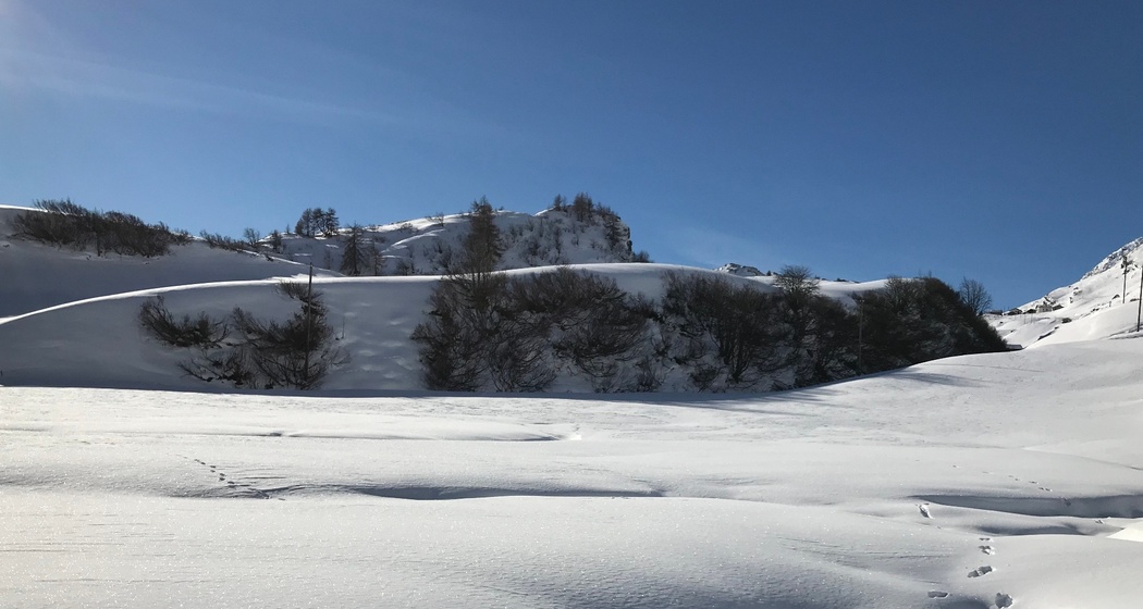 Schneeschuh laufen in sanftem Terrain